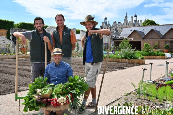 Les jardins potagers de Chambord