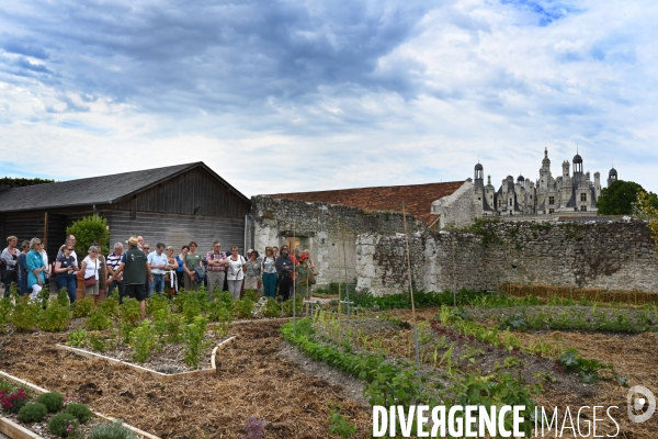 Les jardins potagers de Chambord