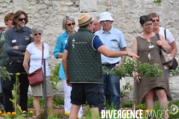 Les jardins potagers de Chambord