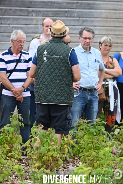 Les jardins potagers de Chambord