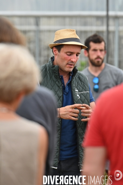 Les jardins potagers de Chambord