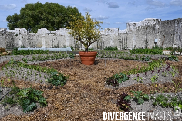 Les jardins potagers de Chambord