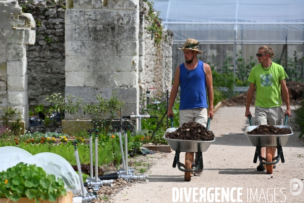 Les jardins potagers de Chambord