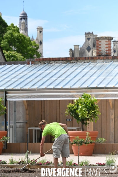 Les jardins potagers de Chambord