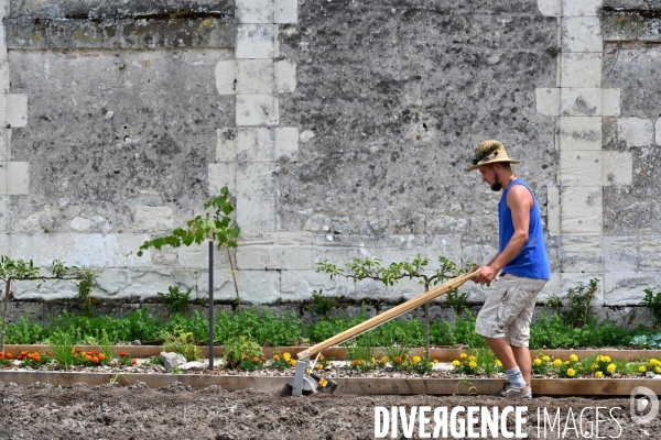 Les jardins potagers de Chambord