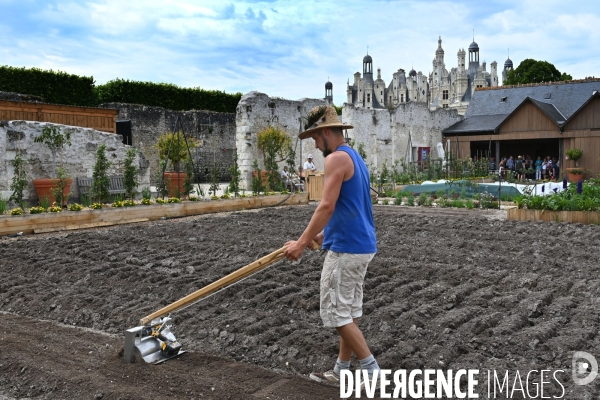 Les jardins potagers de Chambord