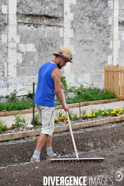 Les jardins potagers de Chambord