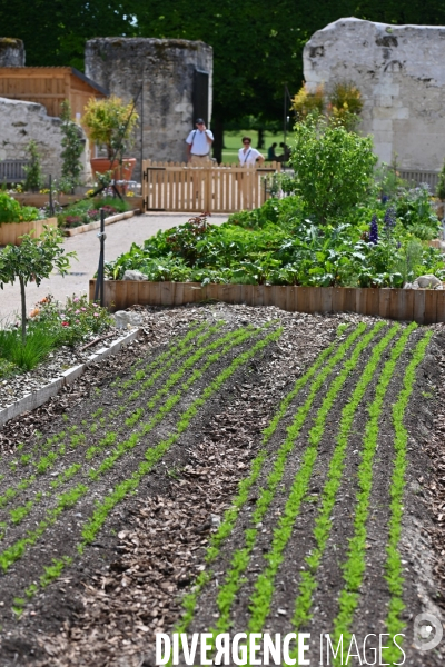 Les jardins potagers de Chambord