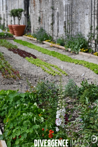 Les jardins potagers de Chambord