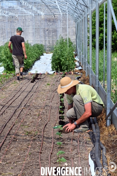 Les jardins potagers de Chambord