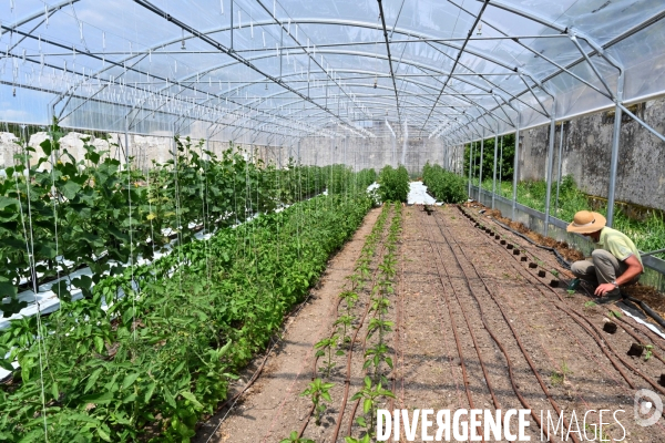 Les jardins potagers de Chambord