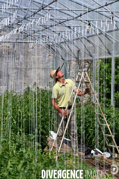 Les jardins potagers de Chambord