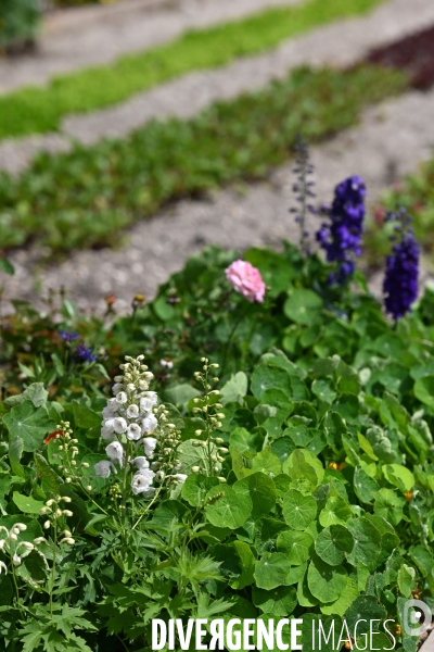 Les jardins potagers de Chambord