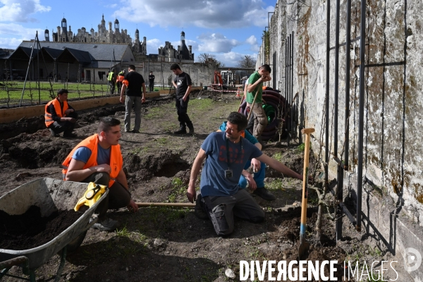Les jardins potagers de Chambord