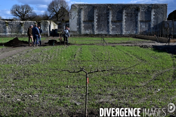 Les jardins potagers de Chambord