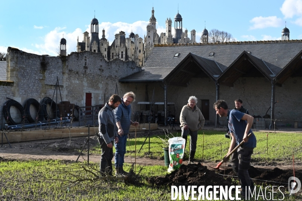 Les jardins potagers de Chambord