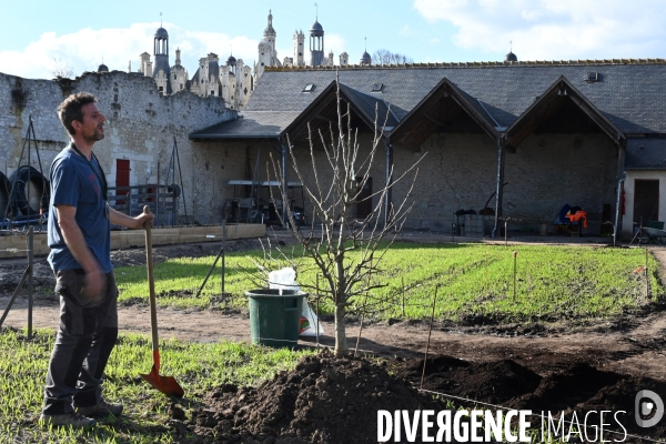 Les jardins potagers de Chambord