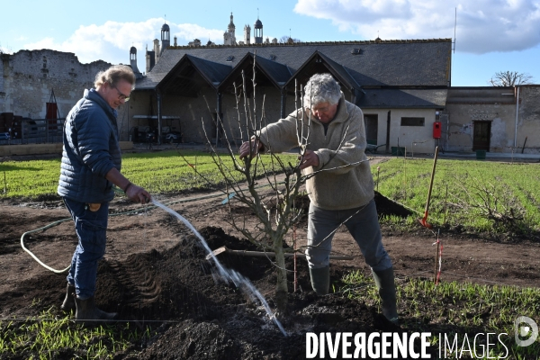 Les jardins potagers de Chambord