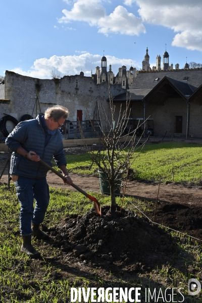 Les jardins potagers de Chambord