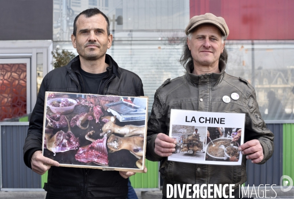 Stop au Festival de la viande de chien et chat de YULIN