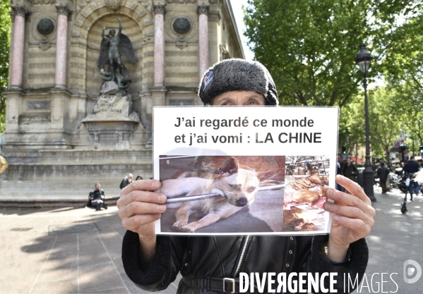 Stop au Festival de la viande de chien et chat de YULIN