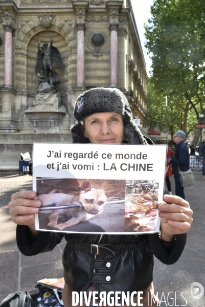 Stop au Festival de la viande de chien et chat de YULIN