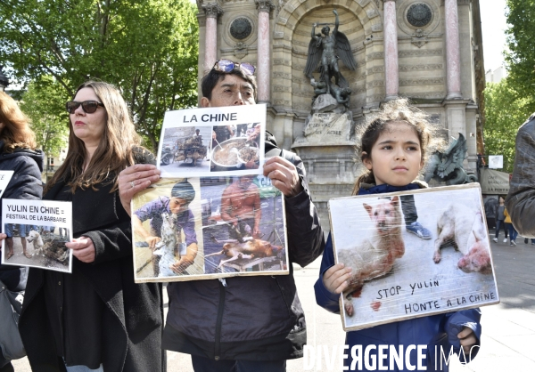 Stop au Festival de la viande de chien et chat de YULIN