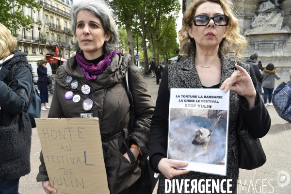 Stop au Festival de la viande de chien et chat de YULIN