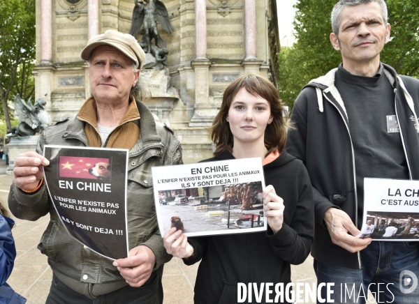 Stop au Festival de la viande de chien et chat de YULIN