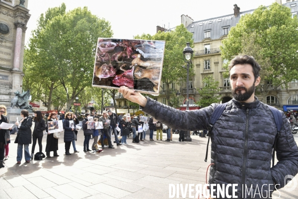 Stop au Festival de la viande de chien et chat de YULIN