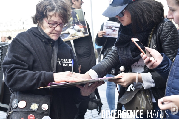 Stop au Festival de la viande de chien et chat de YULIN