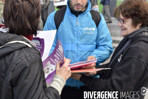 Stop au Festival de la viande de chien et chat de YULIN