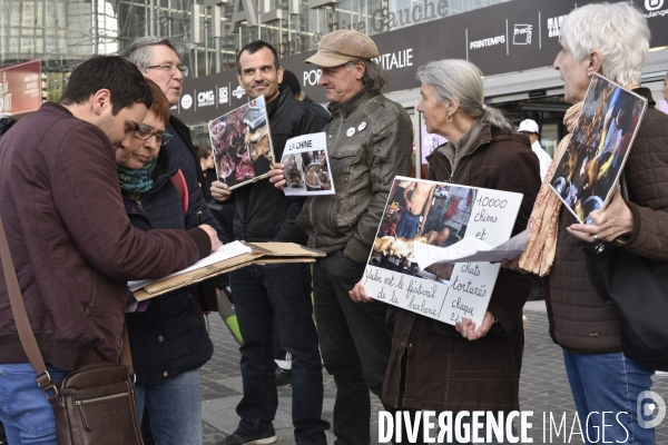 Stop au Festival de la viande de chien et chat de YULIN