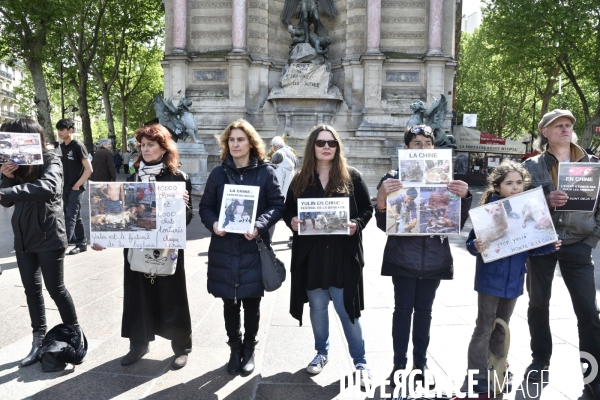 Stop au Festival de la viande de chien et chat de YULIN