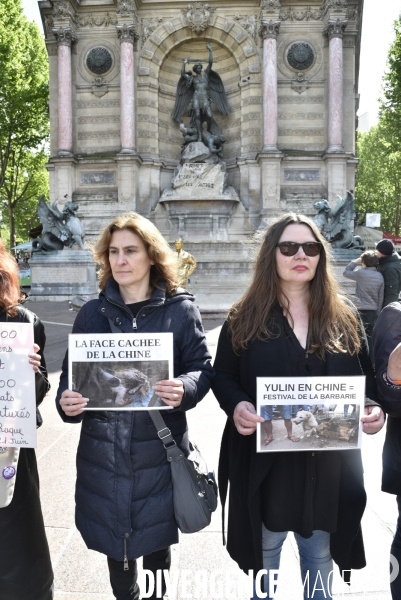 Stop au Festival de la viande de chien et chat de YULIN