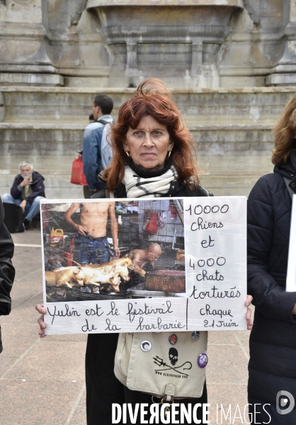Stop au Festival de la viande de chien et chat de YULIN