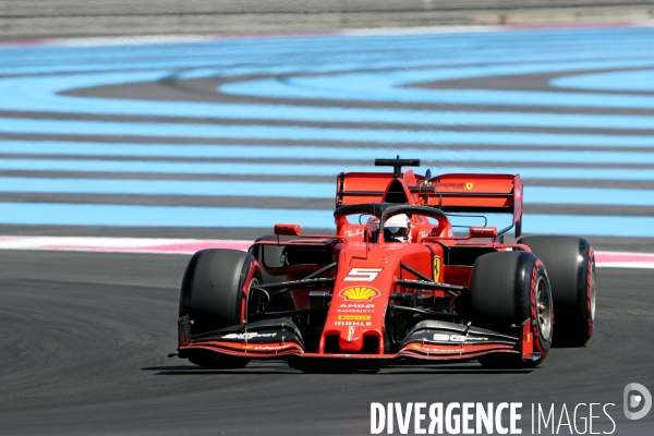 GP F1 de France 2019. Qualifyng session.