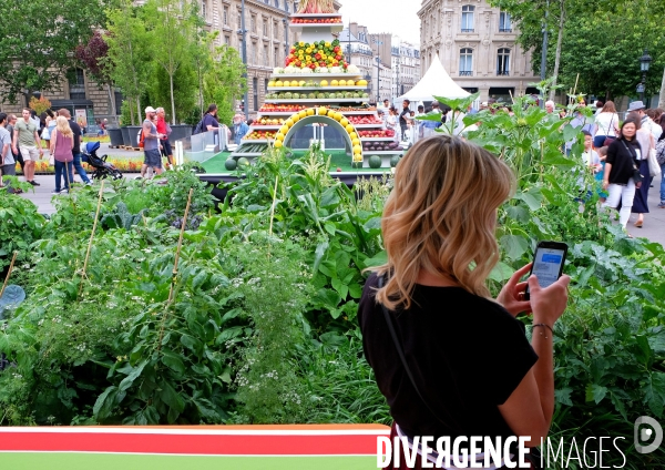 BiodiversiTerre, place de la république