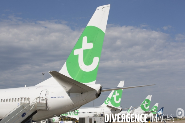 Les avions transavia sur le tarmac d orly