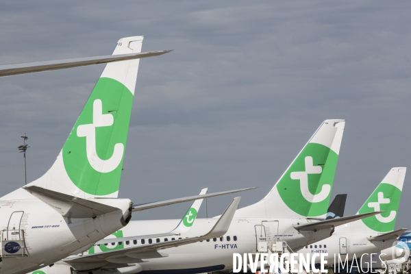 Les avions transavia sur le tarmac d orly