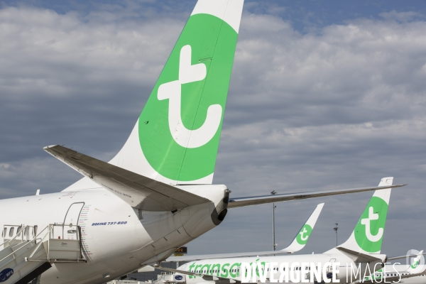 Les avions transavia sur le tarmac d orly