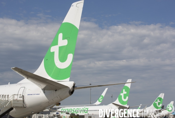 Les avions transavia sur le tarmac d orly