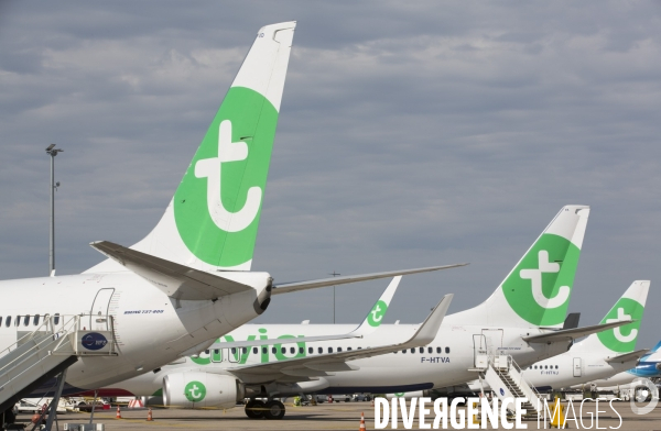 Les avions transavia sur le tarmac d orly