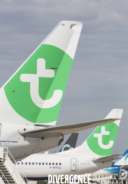 Les avions transavia sur le tarmac d orly