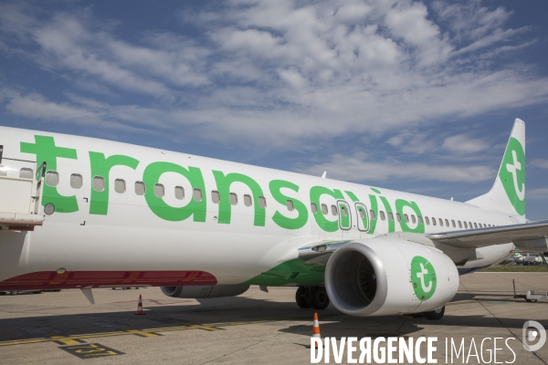 Les avions transavia sur le tarmac d orly