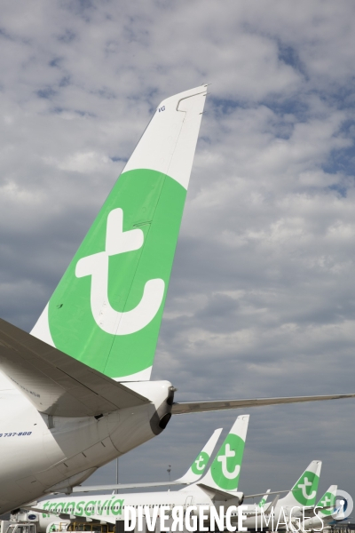 Les avions transavia sur le tarmac d orly