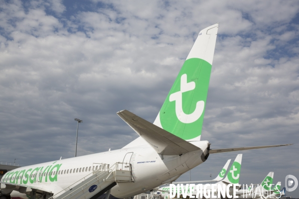 Les avions transavia sur le tarmac d orly