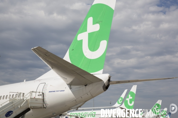 Les avions transavia sur le tarmac d orly