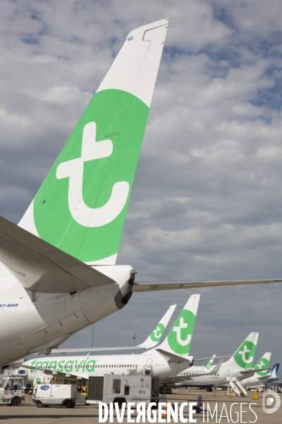 Les avions transavia sur le tarmac d orly