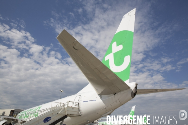 Les avions transavia sur le tarmac d orly